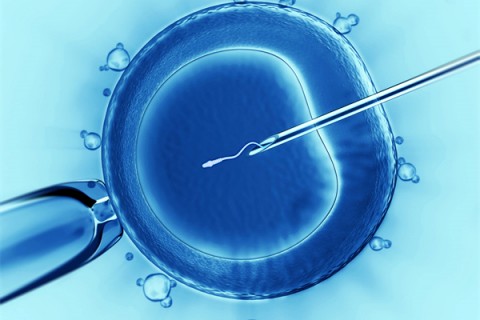 http://chengdu.vdtfzz.com/post/198.html|成都代生助孕