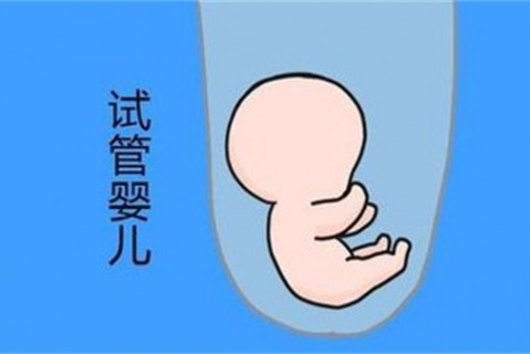 http://chengdu.vdtfzz.com/post/194.html|成都新闻中心