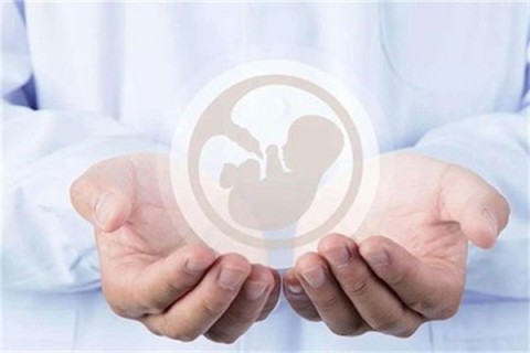 http://chengdu.vdtfzz.com/post/214.html|成都人工试管
