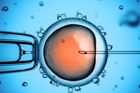http://chengdu.vdtfzz.com/post/199.html|成都供卵助孕
